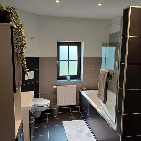 Apartment Krokus Drebach